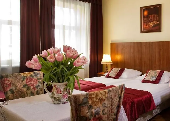 Red Carpet كراكوفيا